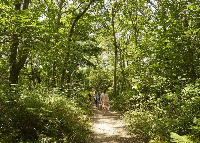 בית נופש Maison Pour 6 A 900m De La סן-ברבן-לה-פן